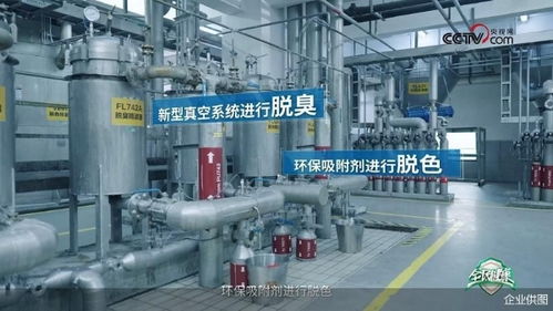 央視網走進多力安心工廠 探尋降低油煙技術專利奧秘，見證健康廚房技術推廣
